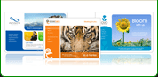 Web Design in Ahmedabad, Website Desiging Company Ahmedabad